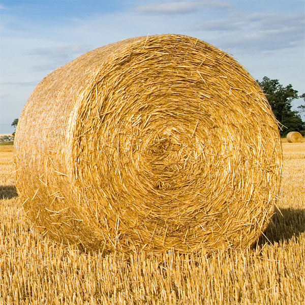 Round hay bale