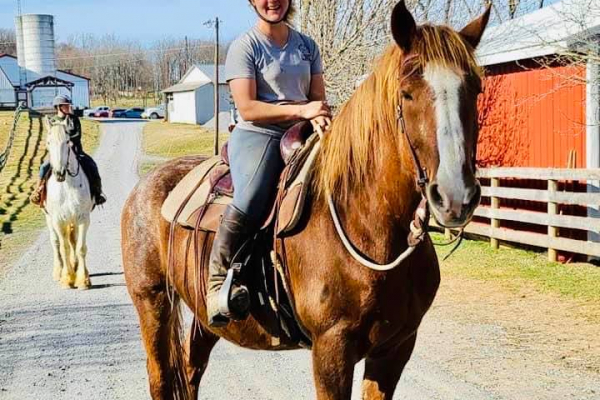 Cain - under saddle