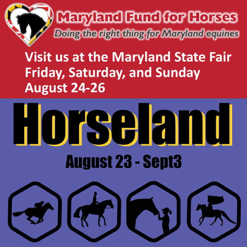 Horseland at the Maryland State Fair